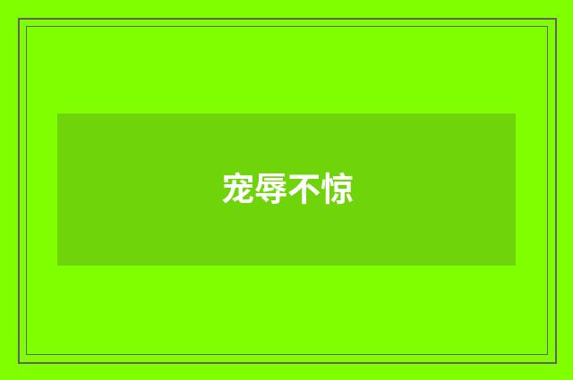 宠辱不惊
