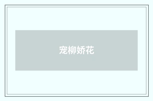 宠柳娇花