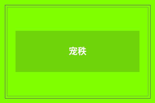 宠秩