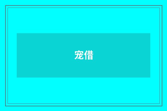 宠借
