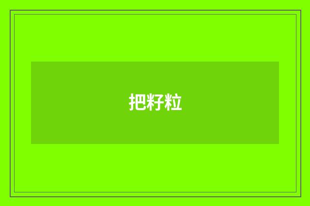 把籽粒
