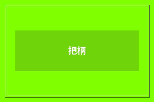 把柄