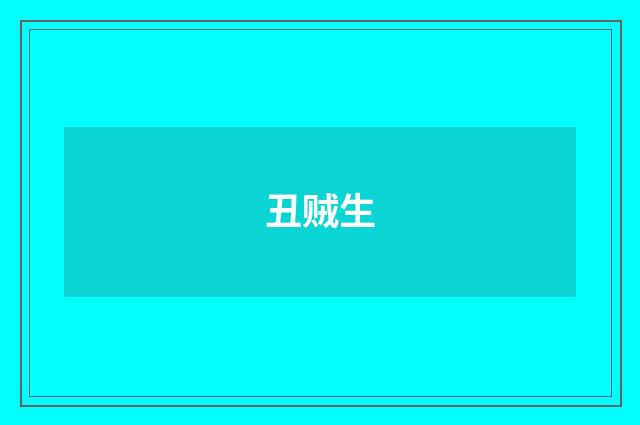丑贼生