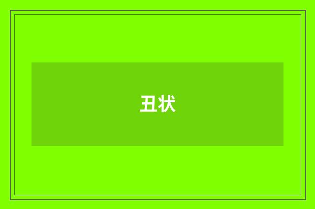 丑状