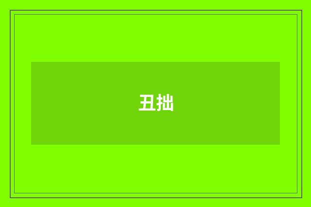 丑拙