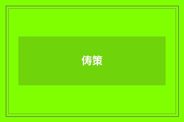 俦策