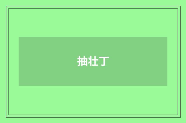 抽壮丁