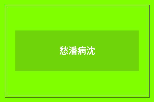 愁潘病沈