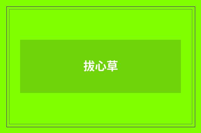拔心草