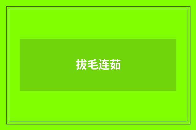 拔毛连茹