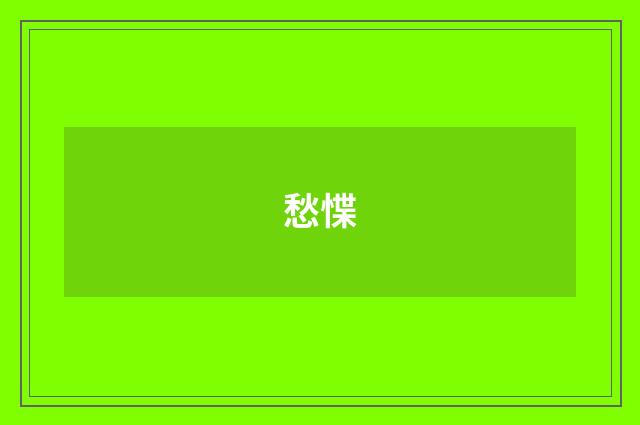 愁惵