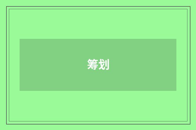 筹划