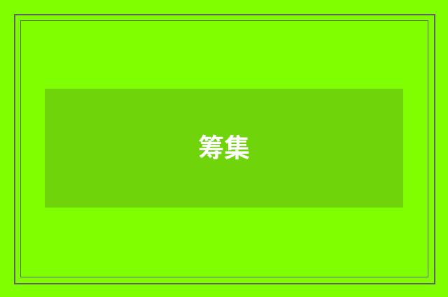 筹集