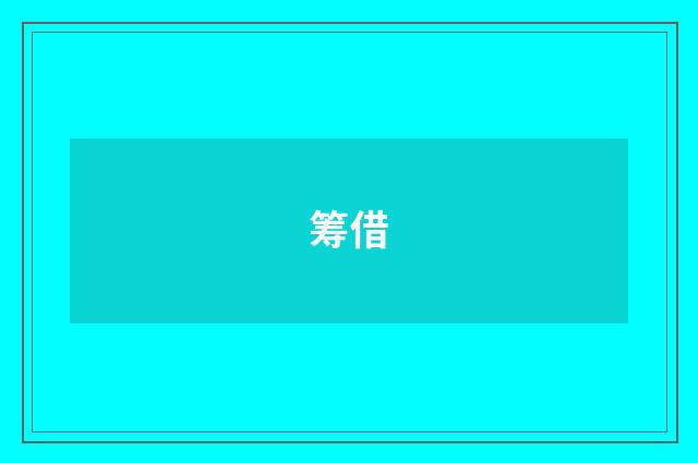 筹借