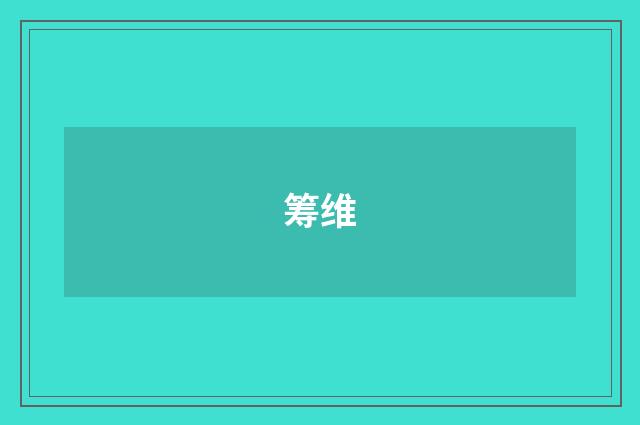 筹维