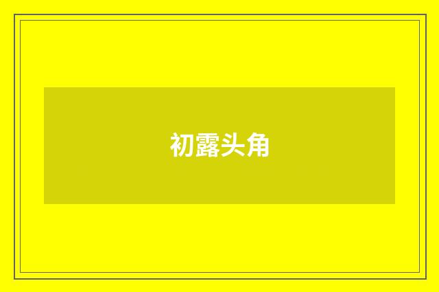 初露头角