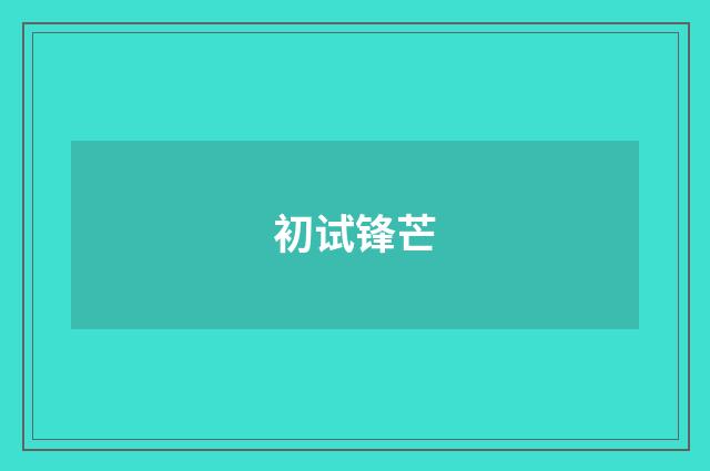 初试锋芒