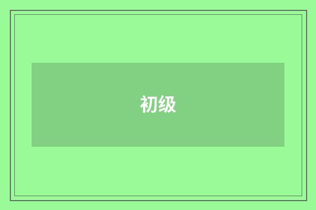 初级