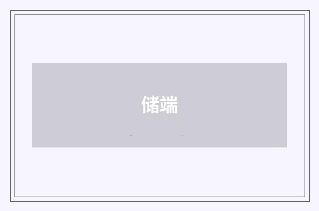 储端