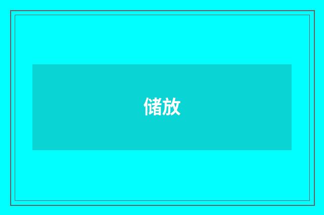 储放