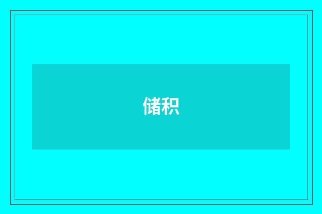 储积