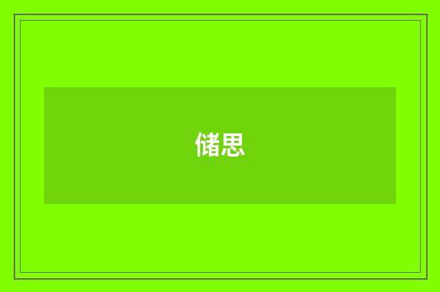 储思