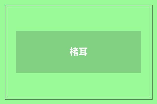 楮耳