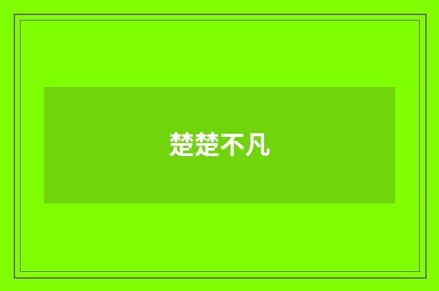 楚楚不凡