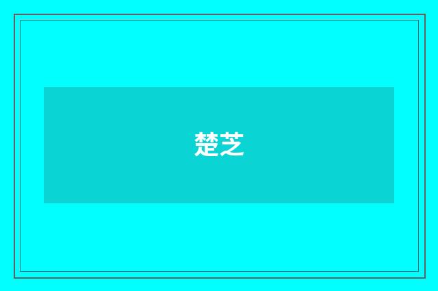 楚芝