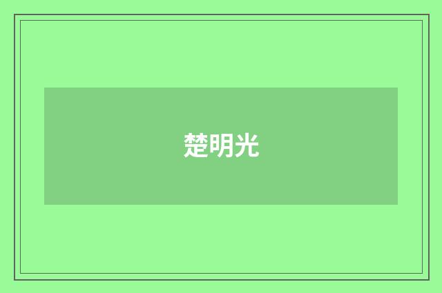 楚明光