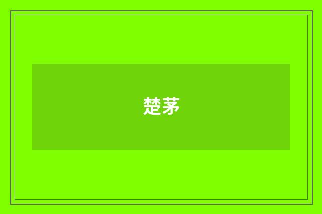 楚茅