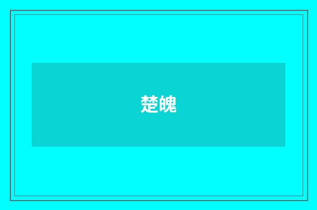 楚魄