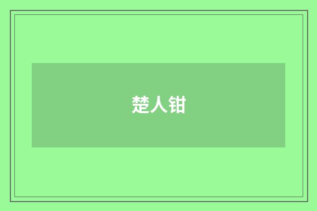 楚人钳