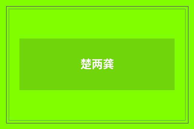 楚两龚