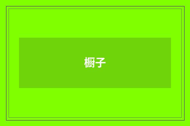 橱子