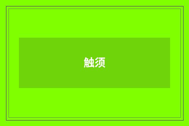 触须