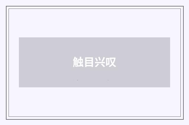 触目兴叹