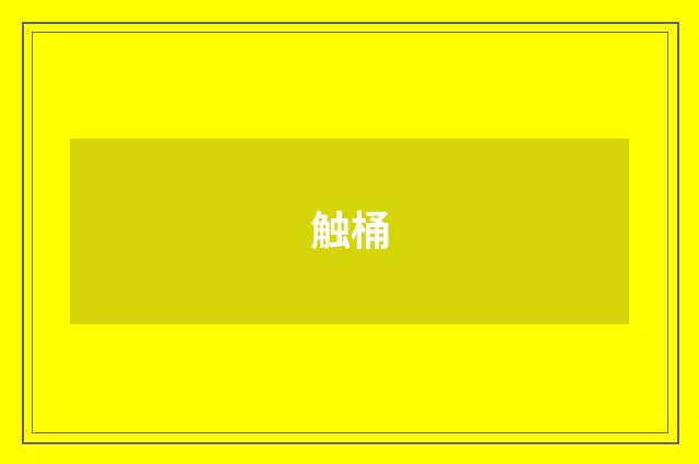 触桶