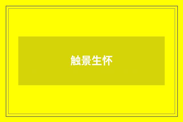 触景生怀