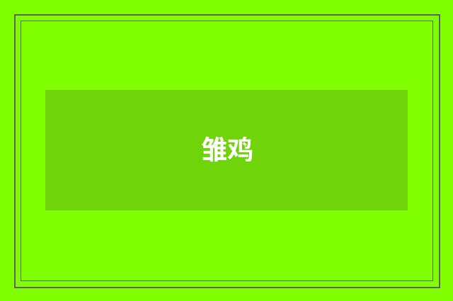 雏鸡
