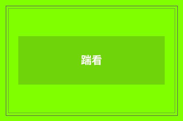 踹看