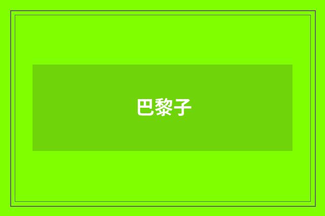 巴黎子