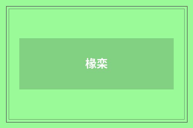 椽栾