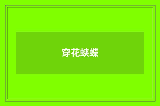 穿花蛱蝶
