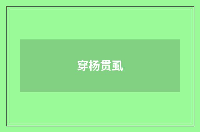 穿杨贯虱
