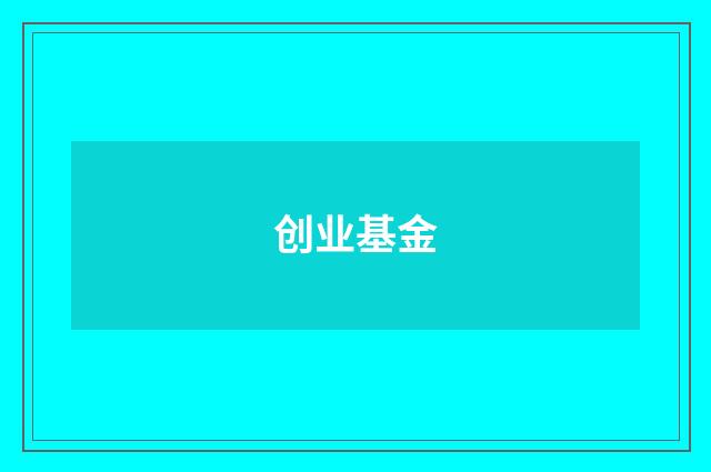 创业基金