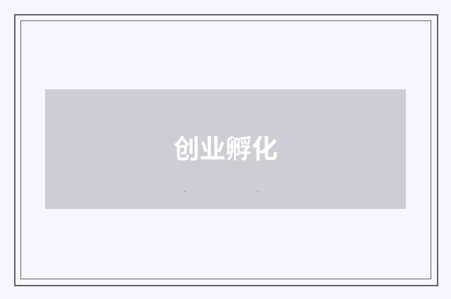 创业孵化