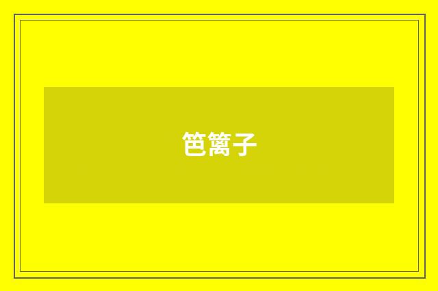 笆篱子