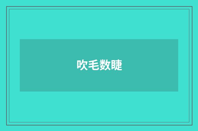 吹毛数睫