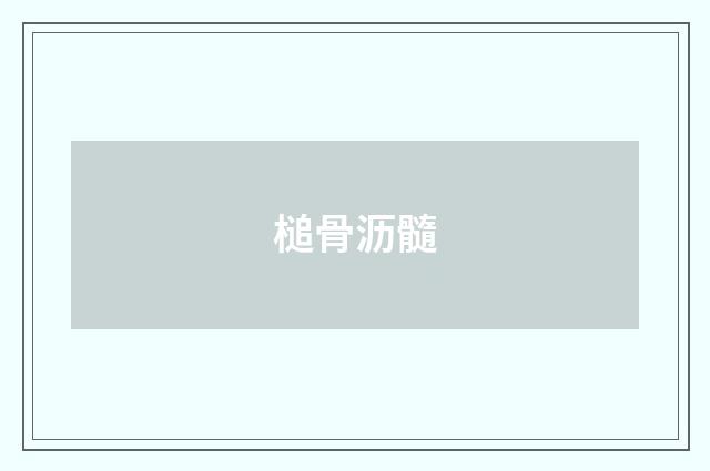 槌骨沥髓